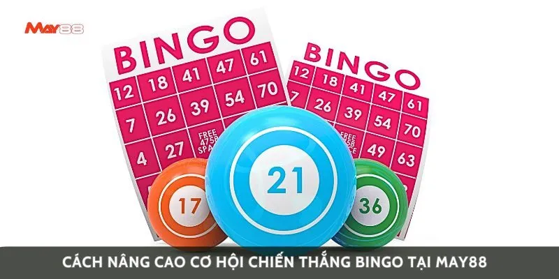 Cách nâng cao cơ hội chiến thắng bingo tại May88